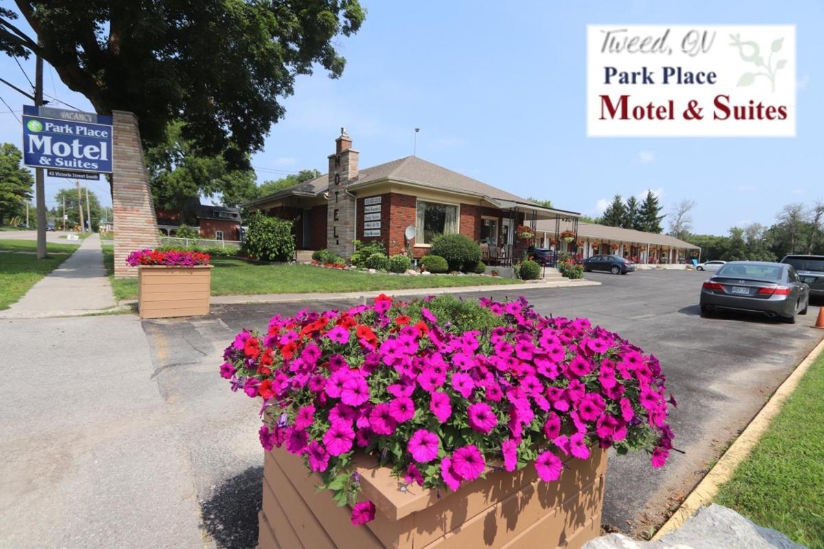 Park Place Motel & Suites Tweed Eksteriør bilde